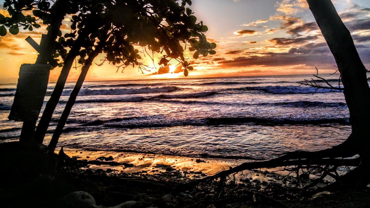 Bed and Breakfast Surf Break At Paunch Bocas del Toro Esterno foto
