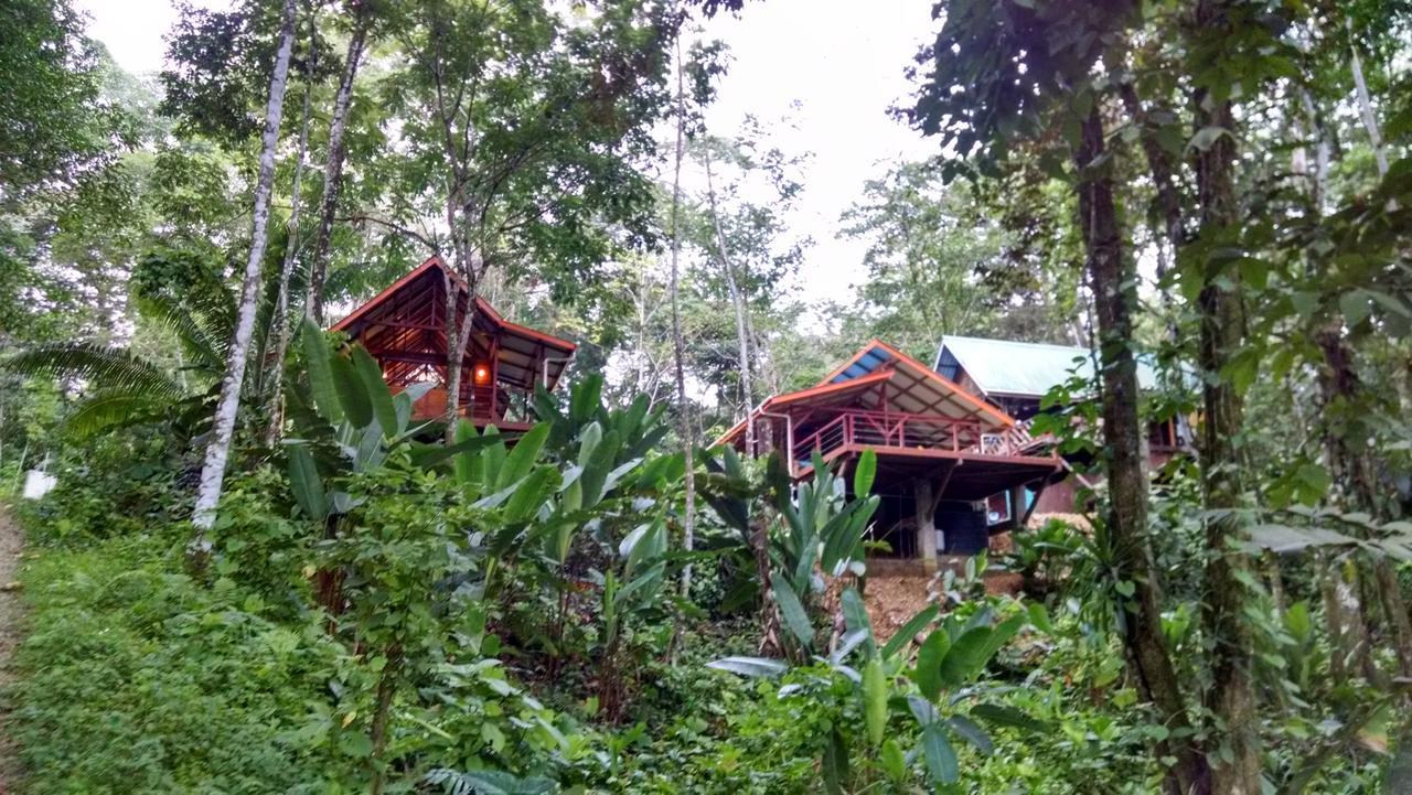 Bed and Breakfast Surf Break At Paunch Bocas del Toro Esterno foto