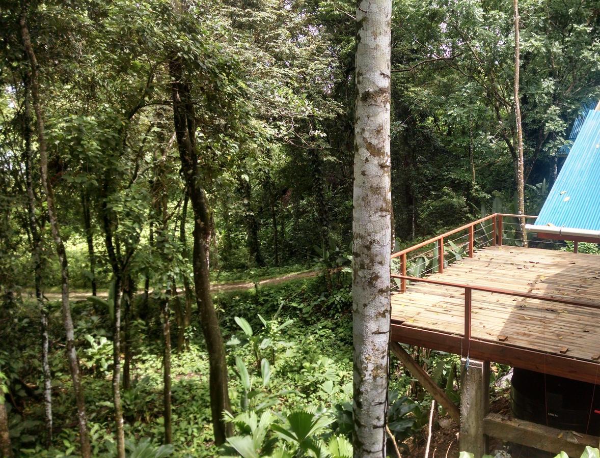 Bed and Breakfast Surf Break At Paunch Bocas del Toro Esterno foto